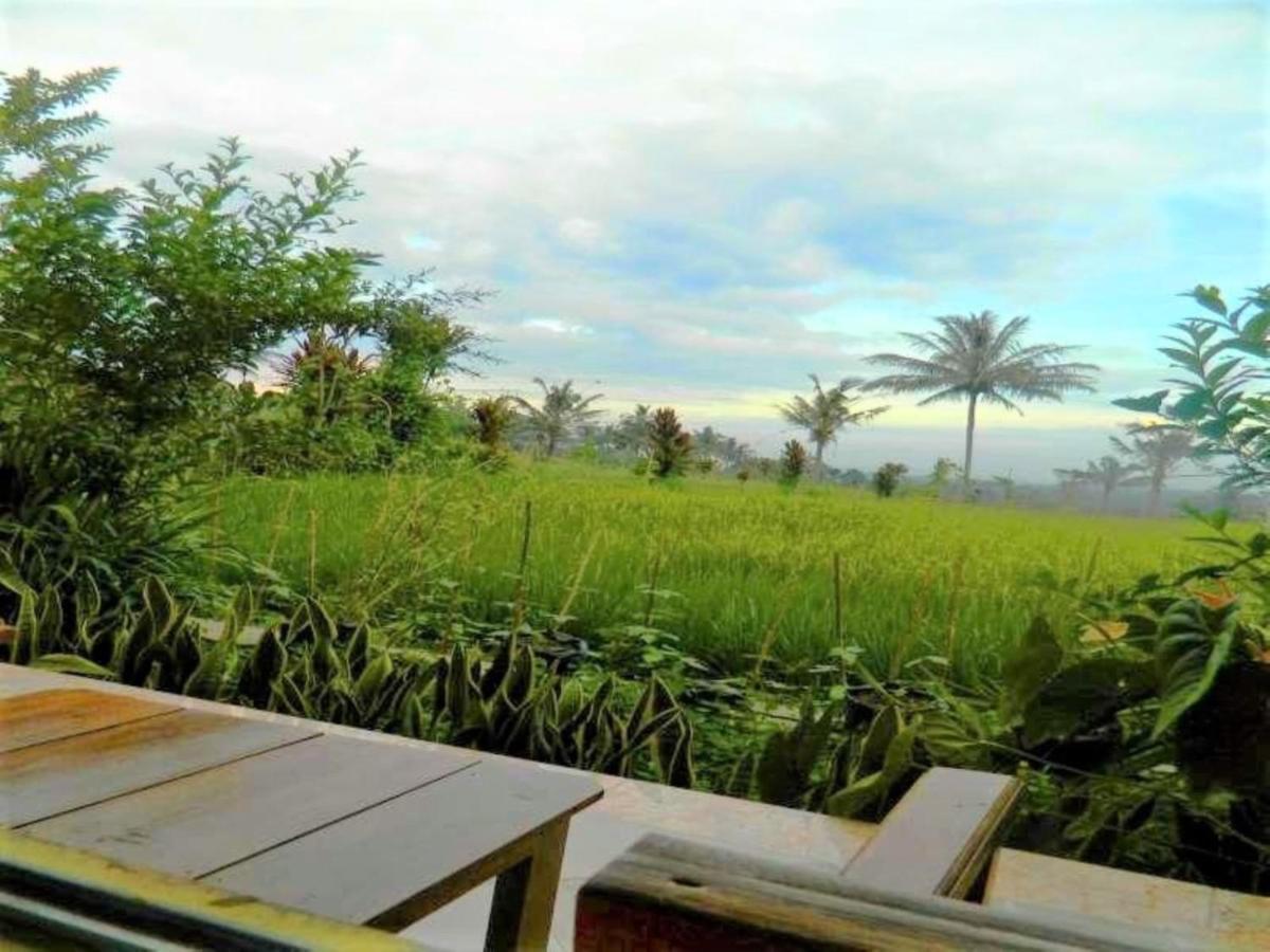 Fida Ijen Crater Guesthouse Licin Εξωτερικό φωτογραφία